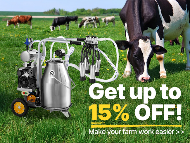 Get up to 15% OFF!