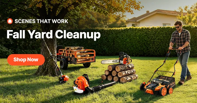 Fall Yard Cleanup