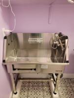 Dog Bath 5