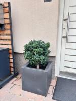 a really nice product 5