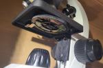 Decent microscope 4