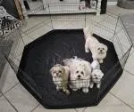 Easy to assemble, sturdy material 5