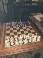 Chess player 5