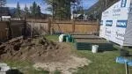 Veggie garden 5