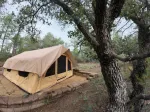 Roomy and Simple 5