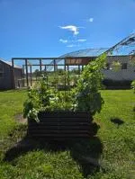 Enhanced my gardening! 5