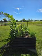 Enhanced my gardening! 5
