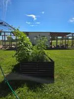 Enhanced my gardening! 5