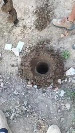 veramente buono 5