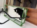 Sturdy cart 5