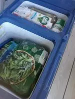 Considerazioni su acquisto freezer Vevor : funzionamento elettrico da 12V e da 220w, tramite motore a compressore 5