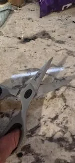 Food grade scissors  5