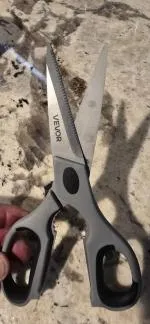 Food grade scissors  5