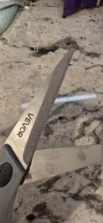 Food grade scissors  5