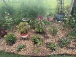 Use an edging tool to get started  5