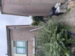 Dit weerstation werkt via Smart Life/Tuya, waardoor je de meetgegevens kunt gebruiken in je slimme woning, bijvoorbeeld via Homey. Zo kun je automatiseren op zon, regen, wind en andere gemeten waarden 5