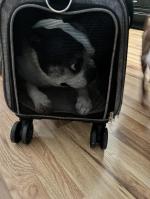 Sturdy, Spacious, and Easy to Set Up 5
