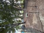 Great fence  5