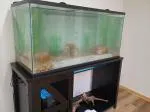 Great unit for the price.  5