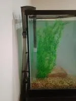 Great unit for the price.  5