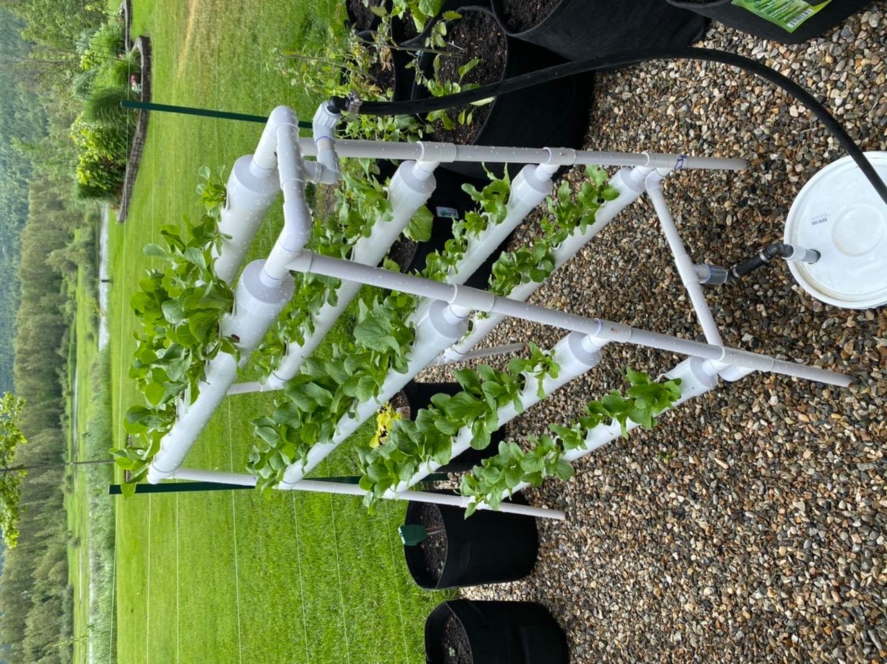 VEVOR Hydroponics Growing System, 72 Sites 8 Food-Grade PVC